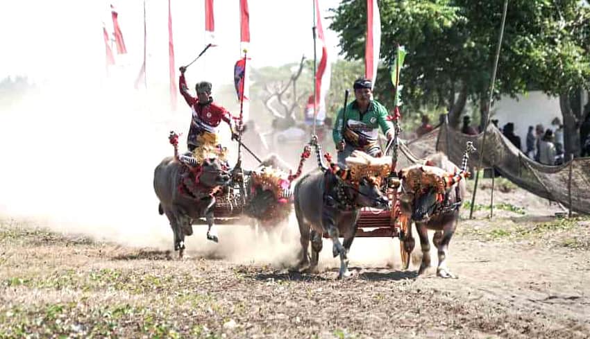 bali event